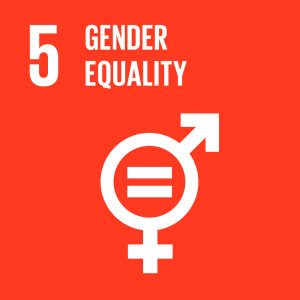 5-gender-equality